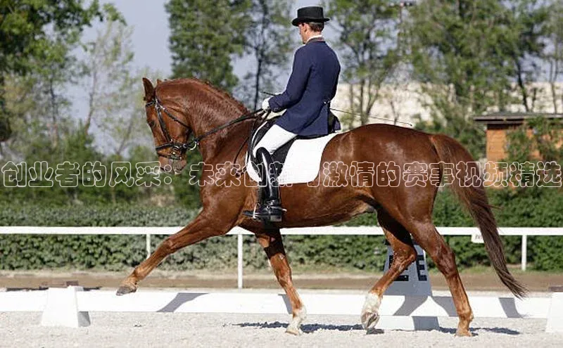 万向注册赛富乐斯创业者的风采：未来创新与激情的赛事视频精选