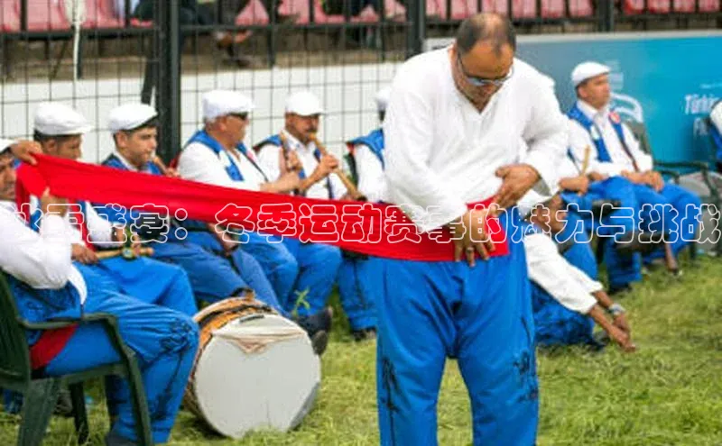 万向娱乐官网网页版登录入口百家号冰雪盛宴：冬季运动赛事的魅力与挑战