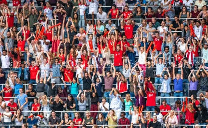 万向注册登录入口官网百度健康奥迪：在赛道与赛场的双重荣耀——奥迪运动赛事部门简介