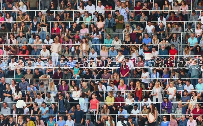 欢乐童年：亲子运动会设计与执行方案