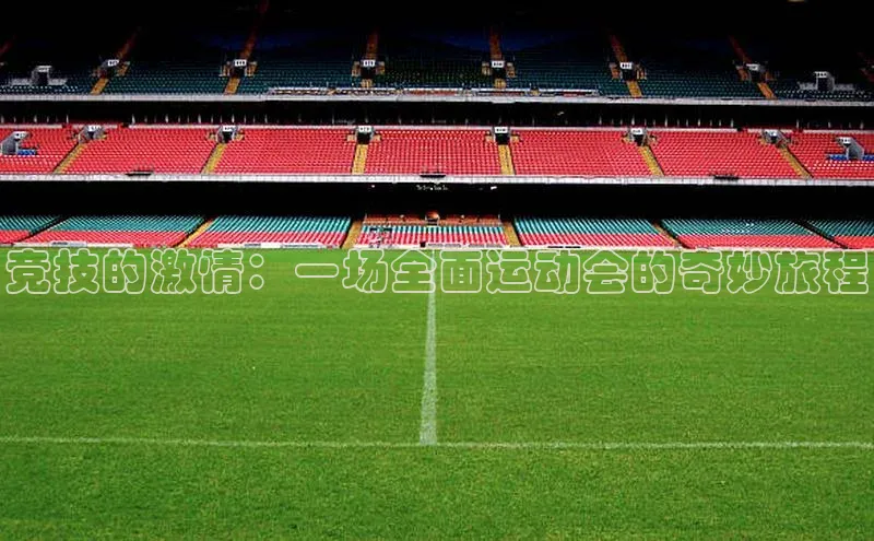竞技的激情：一场全面运动会的奇妙旅程
