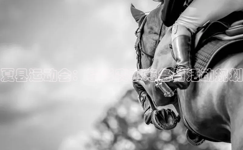 夏县运动会：精彩赛事筹备与活动规划