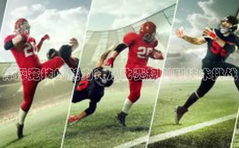 体操竞技的魅力：从比赛规则到技术挑战