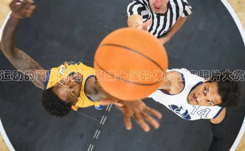 运动的喜剧时刻：趣味十足的体育比赛照片大赏