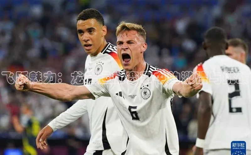 飞跃魅力：龙岩运动赛事中的激情与挑战