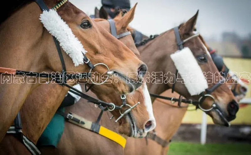 万向娱乐官方入口