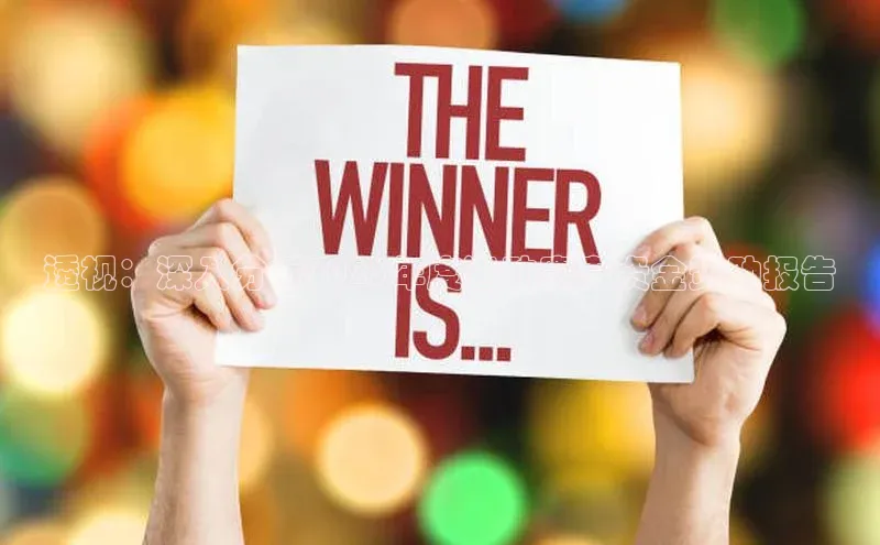 透视：深入分析2023年度运动赛事资金赞助报告