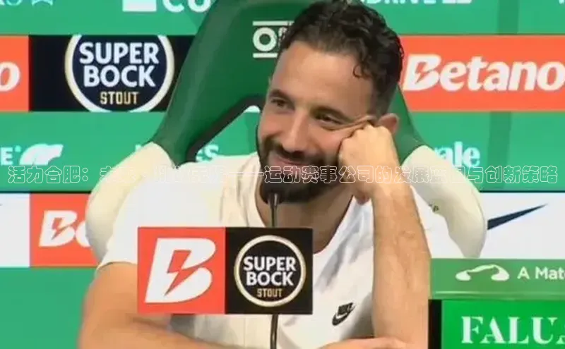 活力合肥：未来·挑战无限——运动赛事公司的发展蓝图与创新策略