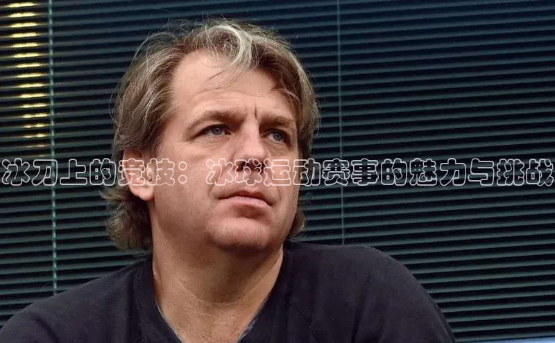 冰刀上的竞技：冰球运动赛事的魅力与挑战