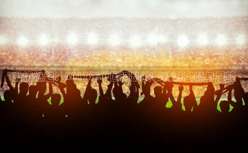 激情燃起：2017年中国运动赛事精彩回顾与展望