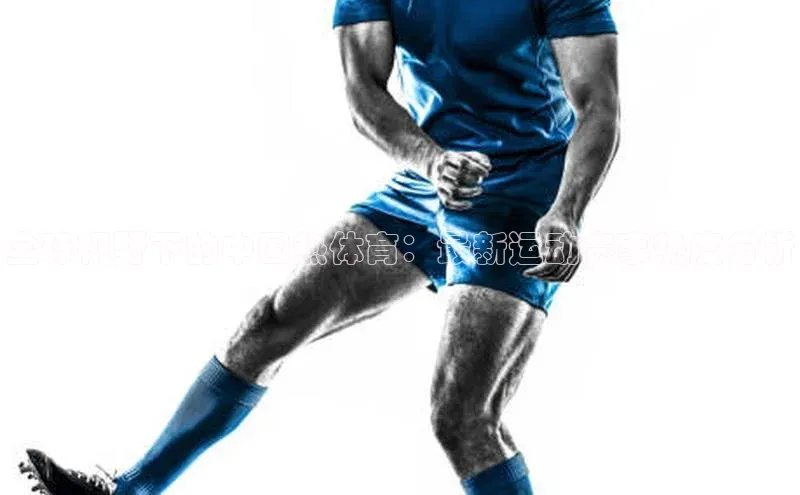 全球视野下的中国热体育：最新运动赛事热度分析