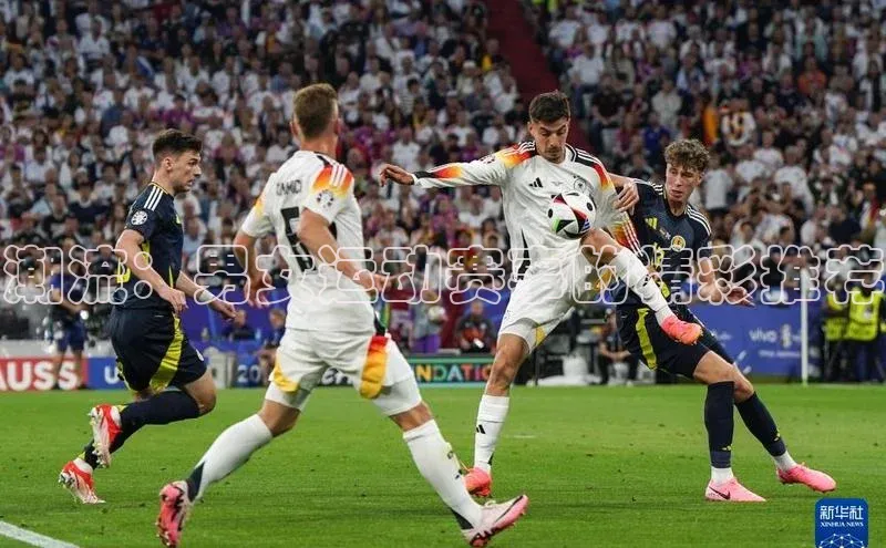 潮流：男女运动赛事的精彩推荐