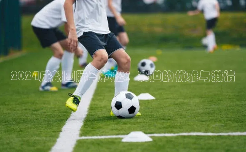 2024成都国际马拉松：赛道的优雅与激情